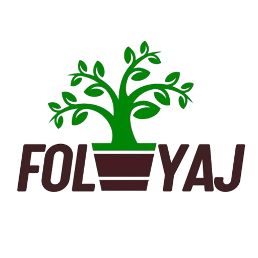 Foliyaj